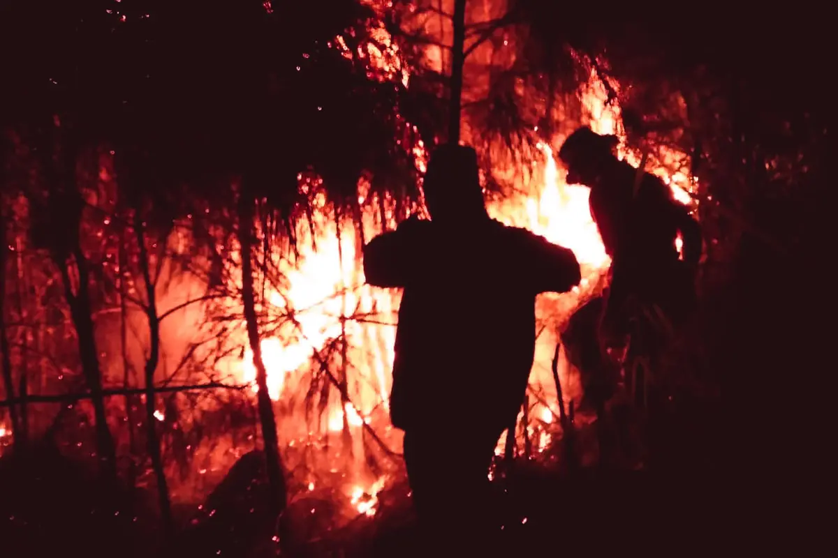 Kebakaran di lereng Gunung Arjuno. (Istimewa)