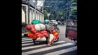 Emak-emak super naik motor. (Instagram @videodragbike)