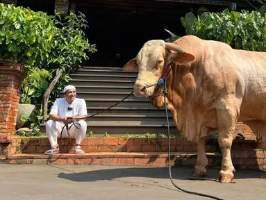 Seperti Idul Adha tahun-tahun sebelumnya, tahun ini Irfan Hakim kembali berkurban. Presenter terkenal ini berkurban seekor sapi jumbo bernama Wisanggeni. (Instagram/irfanhakim75)