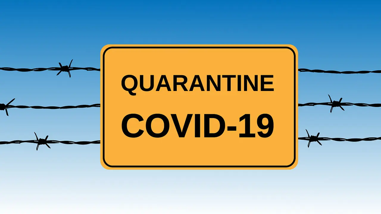 Ilustrasi pandemi Covid-19 (pixabay)