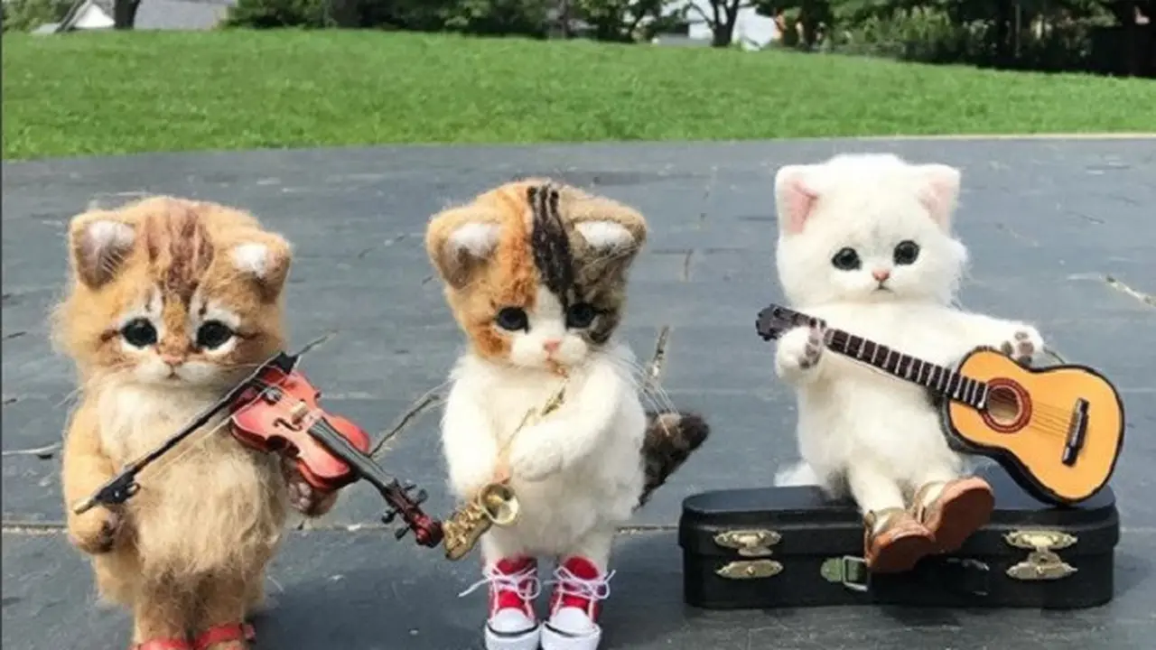 Boneka Kucing Menggemaskan yang Punya Aktivitas Layaknya Manusia