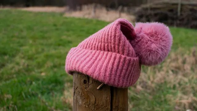 Ilustrasi Beanie Hat.