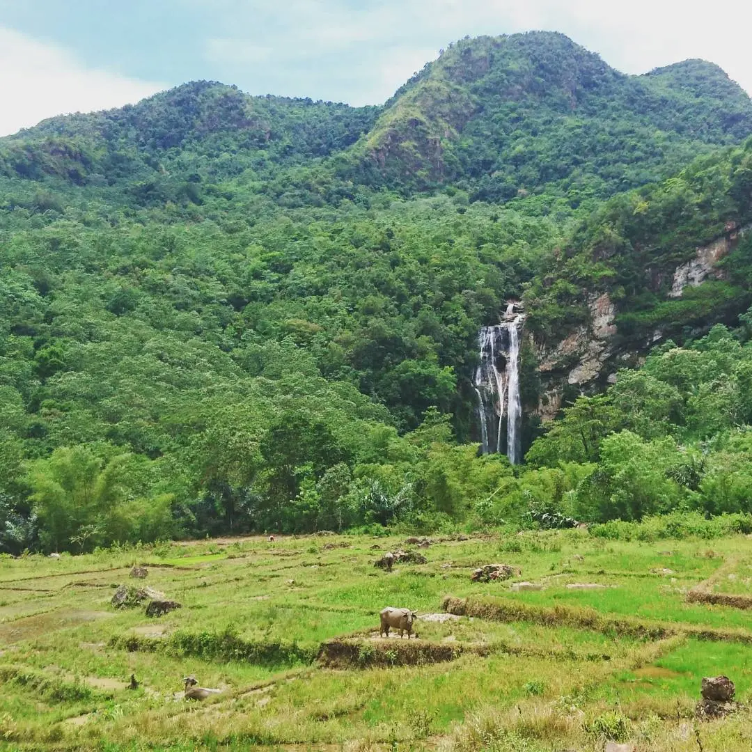 Cunca Rami, Labuan Bajo, Flores, NTT. (Sumber Foto: hurphendale/Instagram)