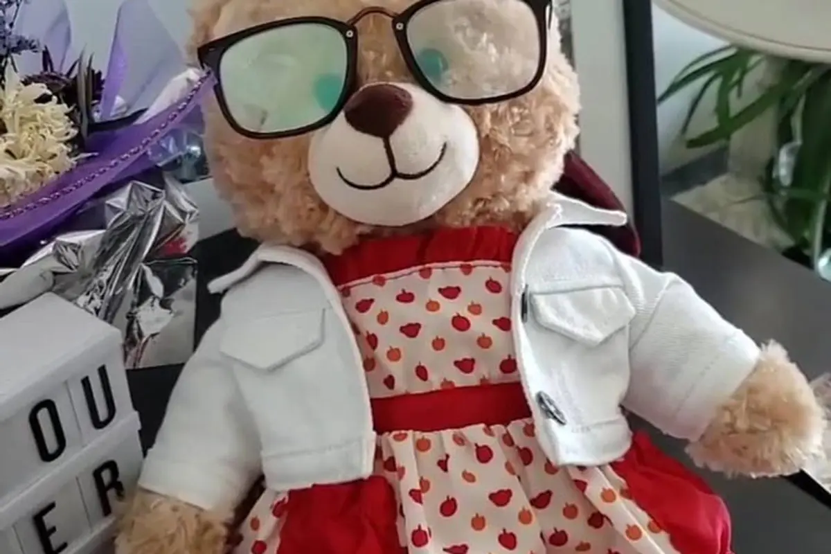 Boneka beruang yang hilang/dok. alohaaamara Instagram