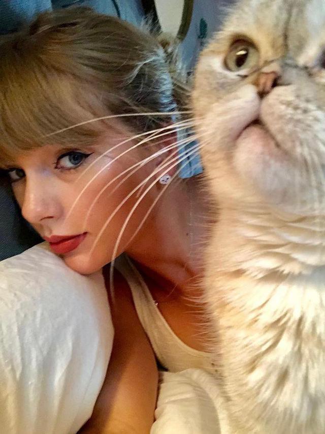 Terkaya Ketiga di Dunia, Kucing Taylor Swift Miliki Kekayaan Rp1,5 Triliun