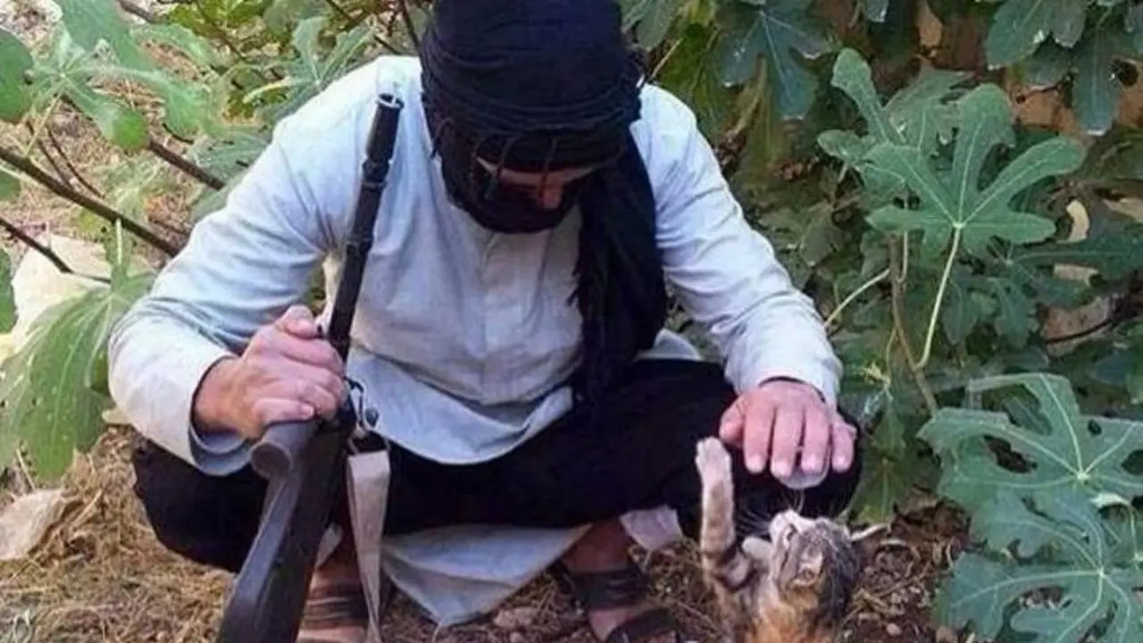 Rekrut Anggota Baru, ISIS Kampanye Bersama Kucing 