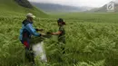 Warga beraktivitas di mata air yang berada di kaki Gunung Bromo, Jawa Timur, Senin (27/11). Sebelumnya, warga di kawasan tersebut harus berjalan hingga 2-3 km setiap hari untuk mendapat air bersih. (Liputan6.com/Immanuel Antonius)