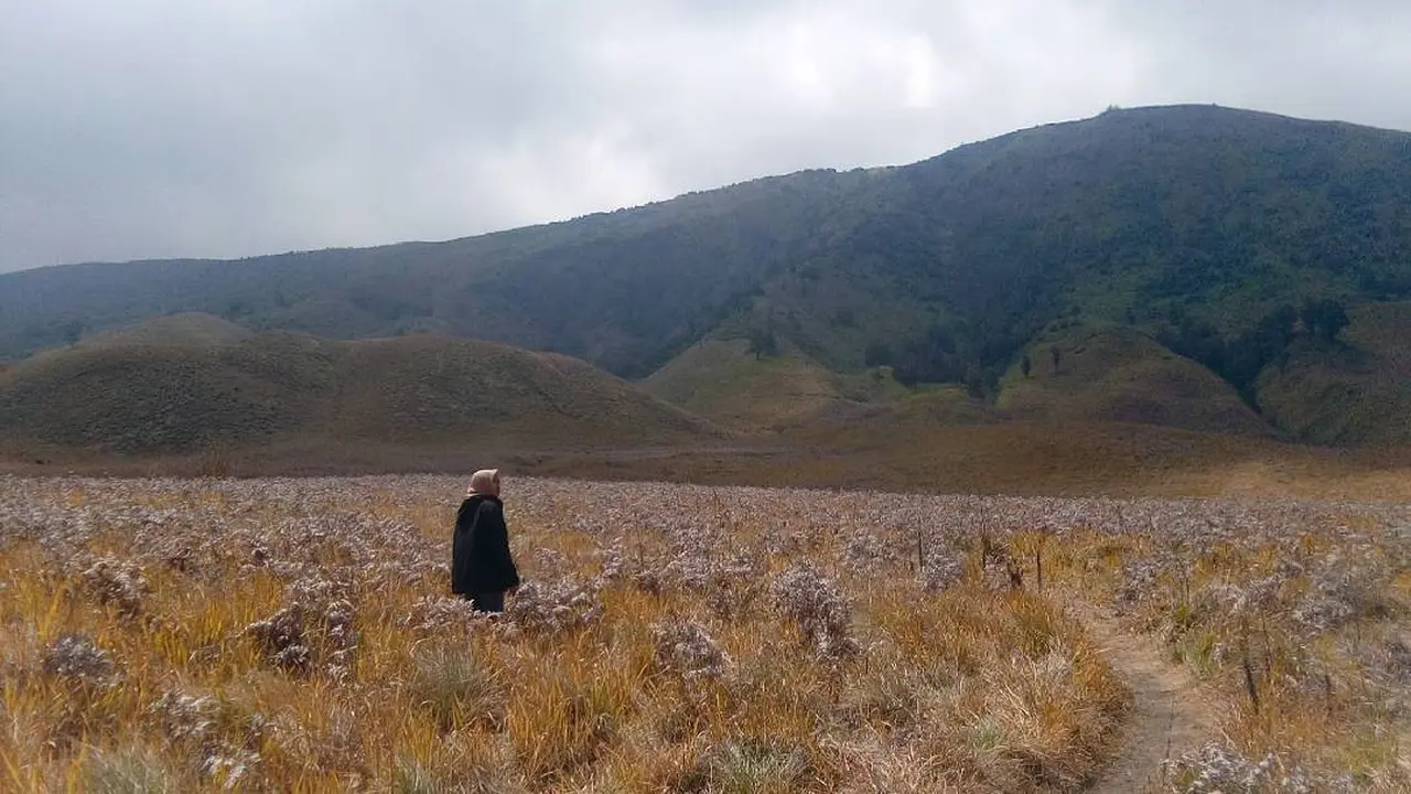 [Bintang] Jawa Timur