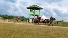 Pulau Sumba Gelar Cabor Kuda Pacu di PON 2028