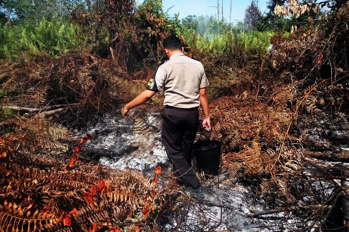 Kebakaraen Lahan