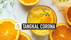 Gabungan periset dari Institut Pertanian Bogor dan Universitas Indonesia menemukan senyawa yang berpotensi bisa menangkal virus corona covid-19. Senyawa apakah itu?
