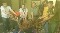 Kulit harimau Sumatera yang didagangkan diduga masih baru karena tercium bau busuk. (Liputan6.com/M Syukur)