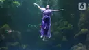 Seorang penampil beratraksi di dalam akuarium Sea World Ancol, Jakarta, Rabu (18/1/2023). Pertunjukan barongsai bawah air tersebut merupakan rangkaian Ancol Lunar Fest 2023 dalam rangka menyambut Tahun Baru Imlek 2574 Kongzili. (Liputan6.com/Herman Zakharia)