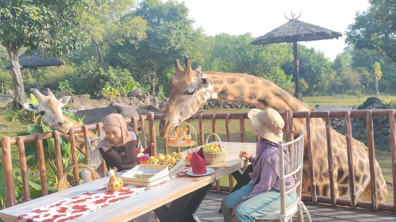 Baobab Safari Resort dikemas dengan gaya ala Afrika atau African Style yang dapat dilihat dari segi arsitektur hingga penataan kawasan safarinya. (Liputan6.com/Winda Nelfira)