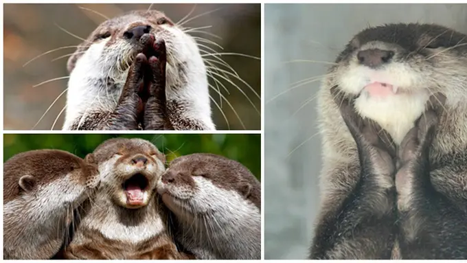 (c) Rocketnews24.com