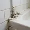 Penyebab Silikon Kamar Mandi Berjamur dan Cara Mencegahnya