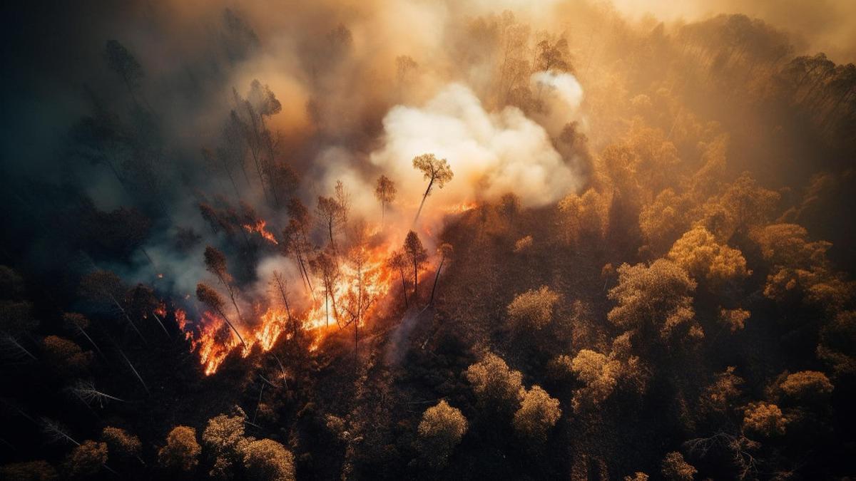 Arti Mimpi Melihat Hutan Terbakar: Pertanda Buruk Atau Pemulihan?