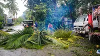 Warga membersihkan pohon kelapa yang tumbang akibat terjangan topan Phanfone di Borongan, Provinsi Samar Timur, Filipina, Rabu (25/12/2019). Topan membuat jutaan warga di negara yang mayoritas beragama Katolik itu merayakan Natal dengan kesedihan. (ALREN BERONIO/AFP)