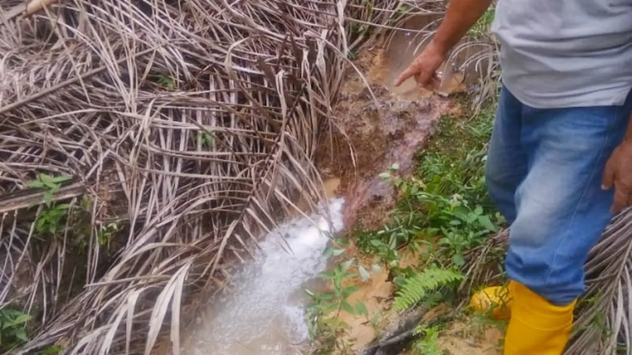 Air di Kabupaten Bengkalis yang diduga tercemar akibat aktivitas perusahaan.