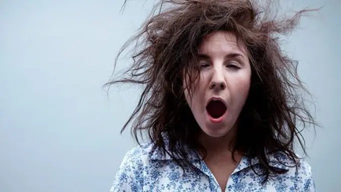 copyright by Shutterstock.com