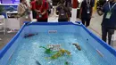 Pengunjung melihat ikan robot buatan Hiwao saat China International Robot Show di Shanghai (10/7/2019). Pameran yang menghadirkan robot-robot canggih ini diselenggarakan dari 10 sampai 13 Juli 2019. (AFP Photo/STR)