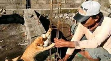 7 Potret Tingkah Kocak Kucing Membantu Manusia, Bikin Gemes