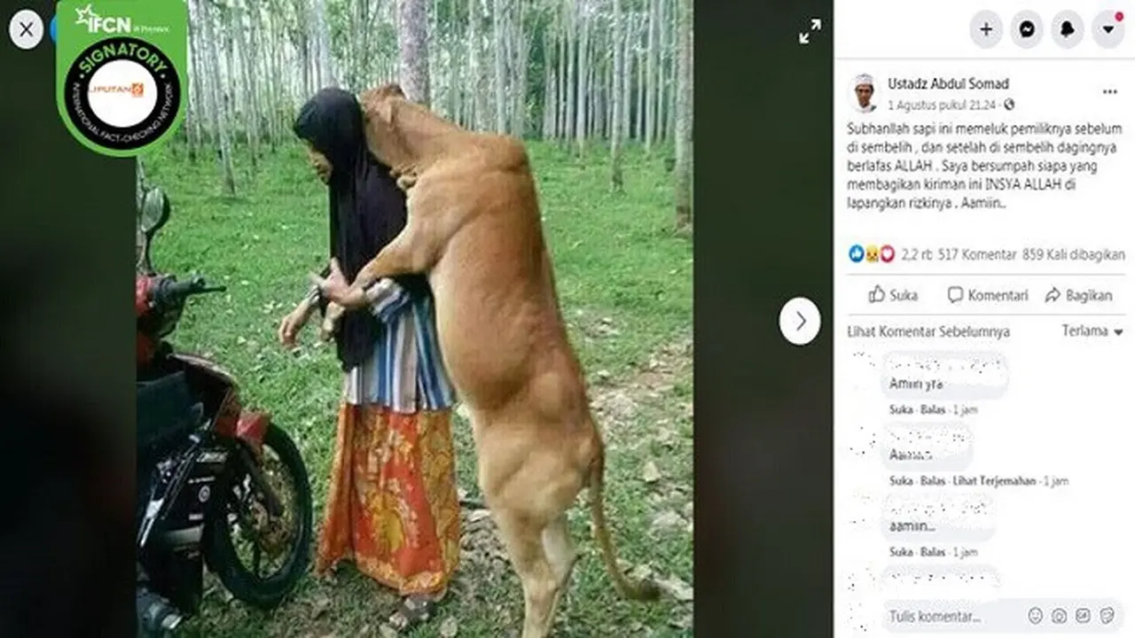Gambar Tangkapan Layar Foto Tentang Hewan Kurban