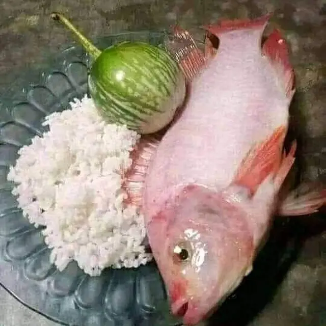 6 Potret Nasi dengan Lauk Mentah Ini Nyeleneh, Bikin Nafsu Makan Hilang