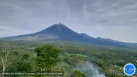 Gunung Semeru mengalami erupsi Kamis pagi (1/2/2024), pukul 06.46 WIB. (Liputan6.com/ Dok PVMBG)