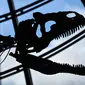 Kerangka dinosaurus yang sangat langka dipajang di lantai pertama Menara Eiffel, Paris, 2 Juni 2018. Kerangka dinosaurus yang menyerupai dinosaurus karnivora, allosaurus, itu ditemukan dalam penggalian di Wyoming, AS pada 2013. (AFP/STEPHANE DE SAKUTIN)