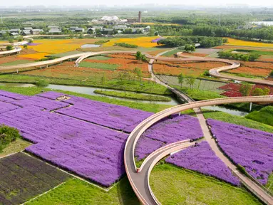 Foto yang diabadikan dari udara pada 13 Mei 2020 ini memperlihatkan ladang bunga di Taman Hutan Gunung San Tai di Kota Suqian, Provinsi Jiangsu, China timur. (Xinhua/Li Bo)