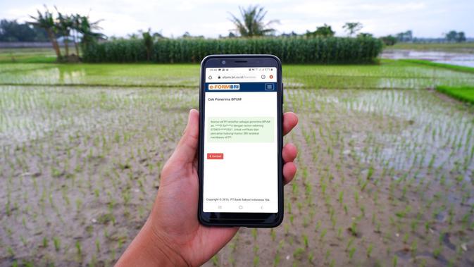 BRI Permudah Masyarakat Terima Bantuan BPUM dari ...