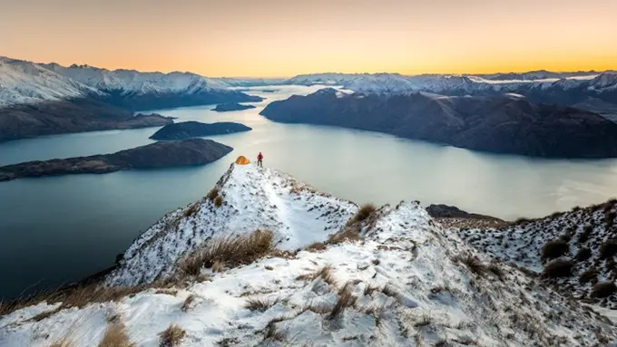 [Bintang] Selandia Baru