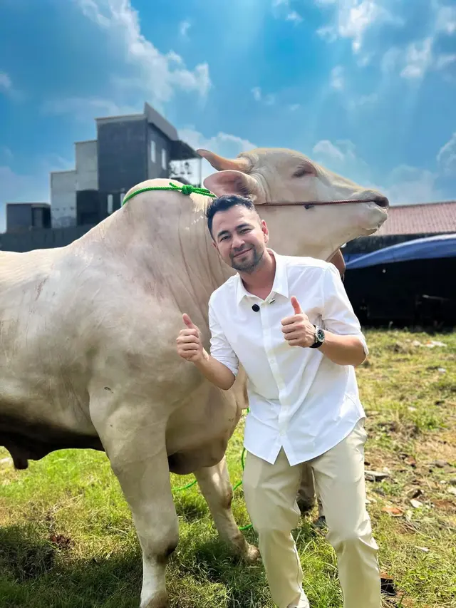 7 Artis kurban sapi di Idul Adha 2025, Ruben Onsu kurban sapi jumbo