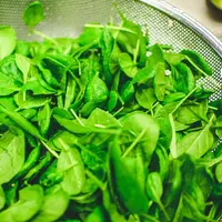 Ilustrasi Selada Air Credit: pexels.com/Pillie