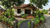 8 Ide Menata Halaman Rumah Agar Teduh Tanpa Biaya Mahal, Percantik dengan Tanaman Murah