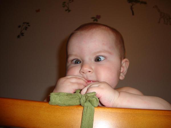 Photo copyright Viralnova.com