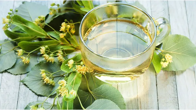 Courtesy ShutterStock.com