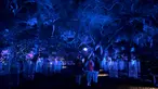 Orang-orang mengunjungi "Hutan Bercahaya" di Taman Descanso, Los Angeles, Senin (17/12). Dengan tema Enchanted: Forest of Light, pengunjung bisa melihat atraktif lampu dan karya seni ilumnasi dengan cahaya di taman tersebut. (Frederic J. BROWN / AFP)