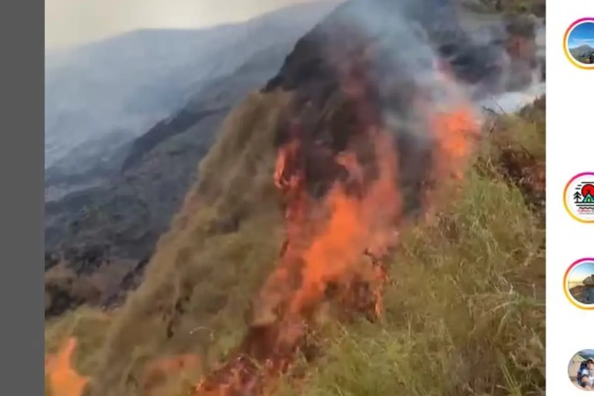 Bukit Anak Dara di Kaki Gunung Rinjani Terbakar, Jalur Pendakian Ditutup Sementara