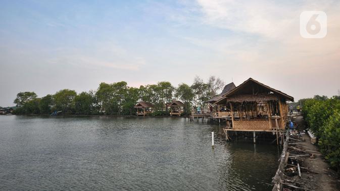 Suasana Taman Wisata Hutan Bakau (Mangrove) di Desa Segarajaya, Tarumajaya, Bekasi, Jawa Barat (24/11/2019). Taman wisata ini memliki ikon Jembatan Cinta yang menjadi salah satu destinasi favorit warga, baik dari dalam maupun luar Bekasi. (merdeka.com/Iqbal S. Nugroho)