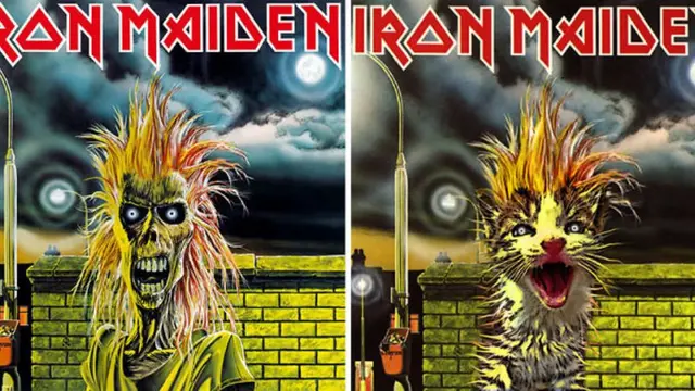 [Bintang] Ketika 10 Cover CD Ini Modelnya Diganti Sama Kucing! Gemas Parah!