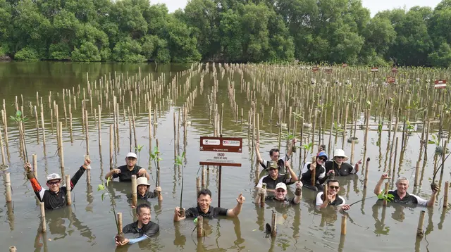 1.600 Mangrove di Pesisir Jawa Barat dan Jakarta Jadi Benteng Hadapi Krisis Iklim