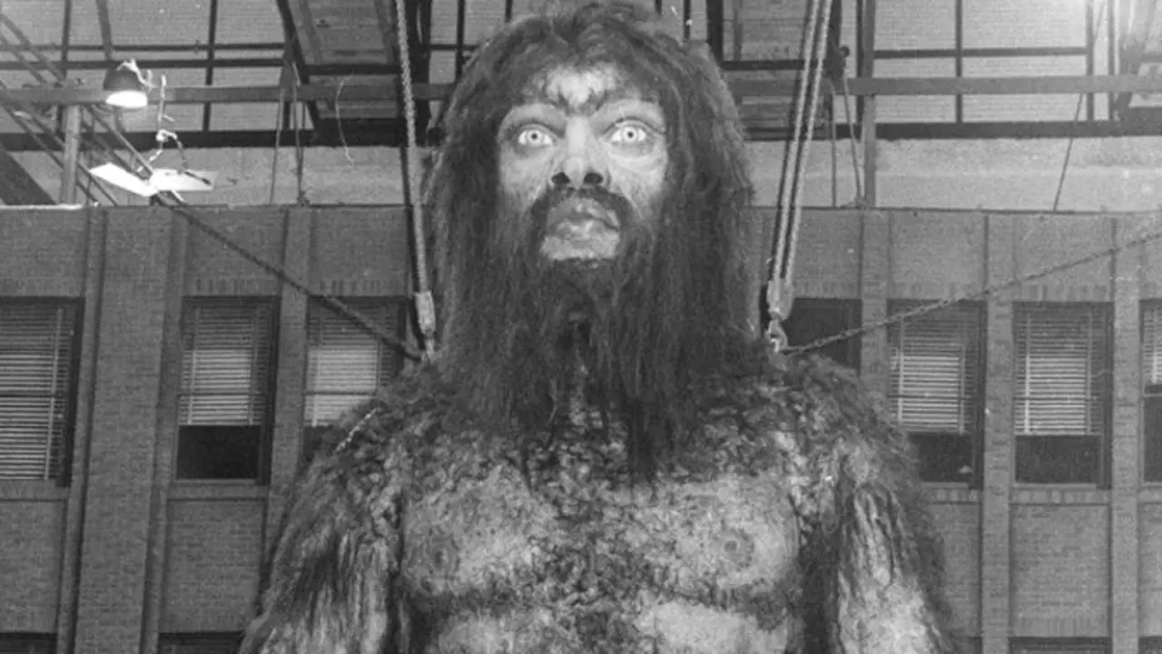 monster-yeti-131017c.jpg