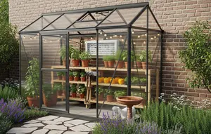 7 Model Greenhouse Rumahan yang Cantik dan Fungsional, Cocok untuk Lahan Sempit