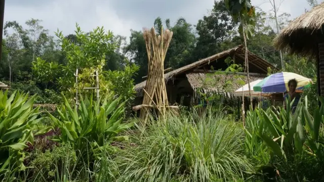 kampung_jamu