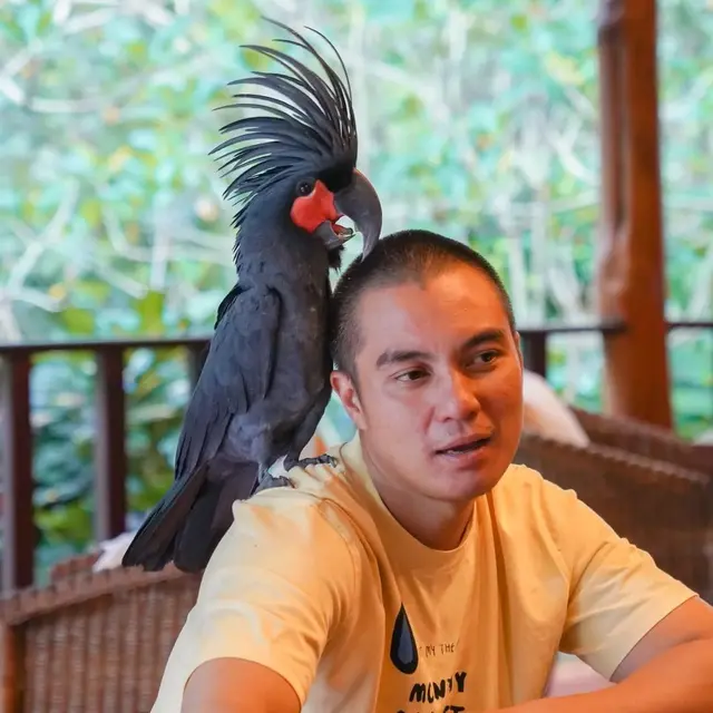 Kini Genap Berusia 41 Tahun, Ini 6 Potret Transformasi Baim Wong