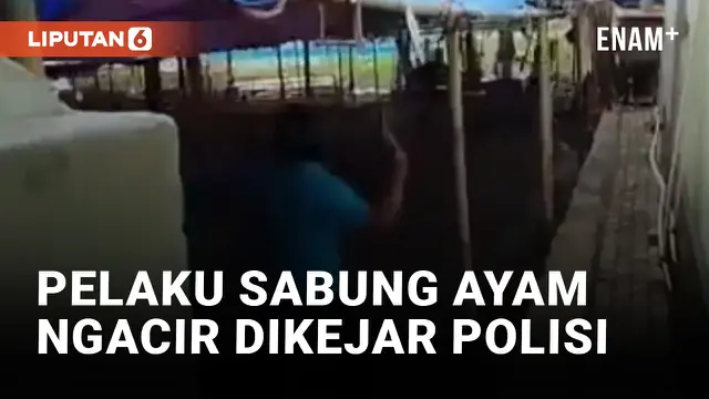 Polisi Gerebek Lokasi Sabung Ayam di Indramayu
