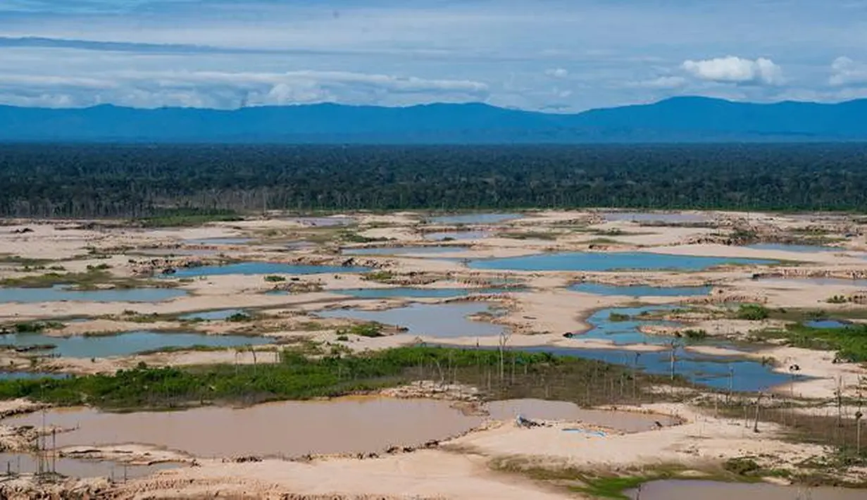Pandangan udara kawasan Hutan Amazon yang terdeforestasi (penurunan luas area hutan secara kualitas dan kuantitas) di wilayah Sungai Madre de Dios, Peru, Jumat (17/5/2019). Pemerintah Peru meluncurkan Operasi Merkuri untuk mengusir penambang ilegal yang merusak Hutan Amazon. (CRIS BOURONCLE/AFP)