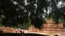 liputan6